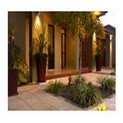 Image for Cricket Pavers with ID of: 1195997