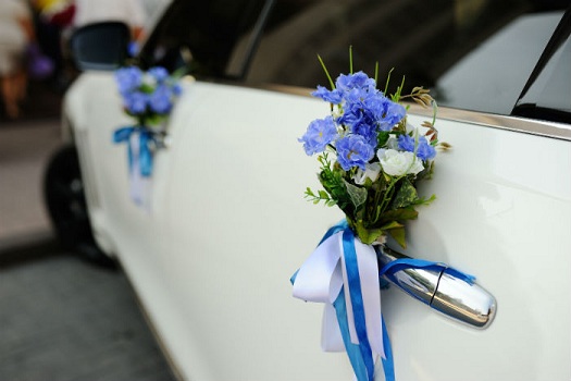 Image for Waterville Limo with ID of: 1196738