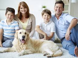 Image for Natural flea control for dogs with ID of: 1197660