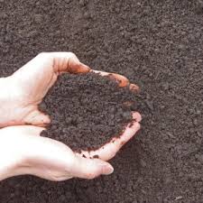 Image for Topsoil Delivery with ID of: 1197884
