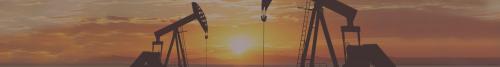 Image for North Star Information, LP with ID of: 1198654