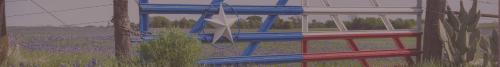 Image for North Star Information, LP with ID of: 1198655