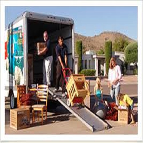 Image for Bright Movers East Brunswick with ID of: 1199494