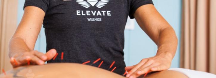 Image for Kauai Wellness - Elevate Healthy with ID of: 1199870