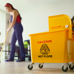 Image for Clean Right Services, LLC with ID of: 1201088