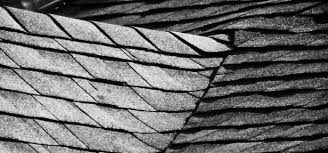 Image for Roof repair services with ID of: 1201113