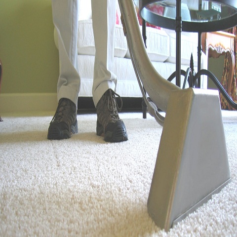 Image for SD Carpet Care SFV with ID of: 1201292