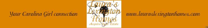 Image for Avoid The Most Common Buyer Errors on Lexington SC homes for sale with ID of: 120201
