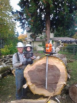 Image for Hofmeister Tree Service LLC with ID of: 1202372