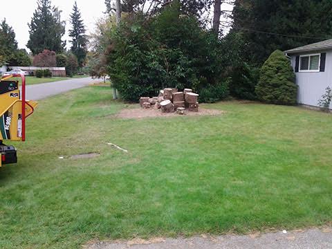 Image for Hofmeister Tree Service LLC with ID of: 1202373