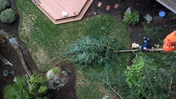 Image for Hofmeister Tree Service LLC with ID of: 1202382