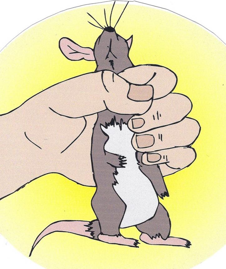 Image for Frankie's Pest Control with ID of: 1203208