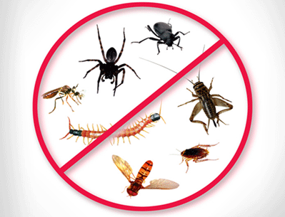 Image for Pest control orilla with ID of: 1203212