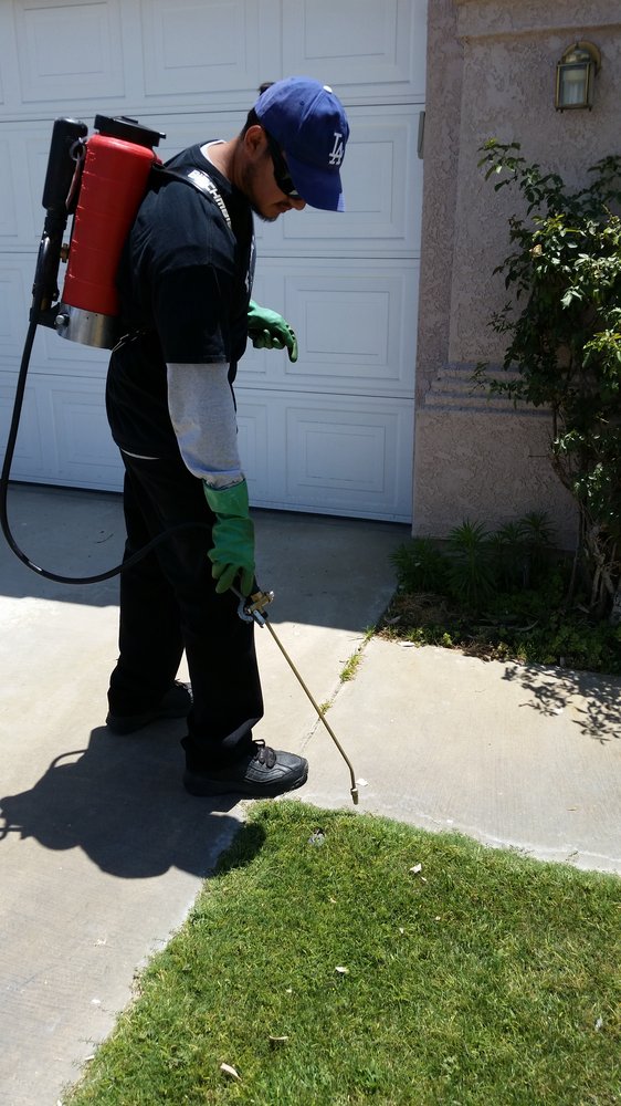 Image for Frankie's Pest Control with ID of: 1203223