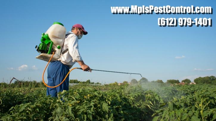 Image for Minneapolis Pest Control with ID of: 1203705