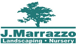 Image for Marrazzo Landscaping with ID of: 1205028