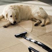 Image for Horizon Carpet Upholstery Tile & Grout Cleaning Service with ID of: 1205595