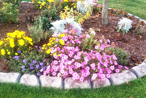 Image for Wolfrath's Curb with ID of: 1207564