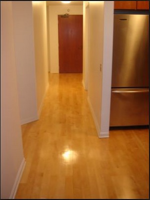 Image for Carpet Cleaning Petaluma with ID of: 1208375