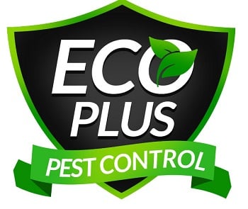 Image for EcoPLus Pest Control with ID of: 1208562