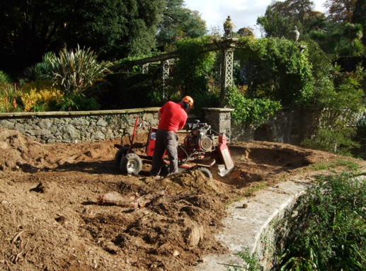 Image for Milton Tree Care with ID of: 1209334