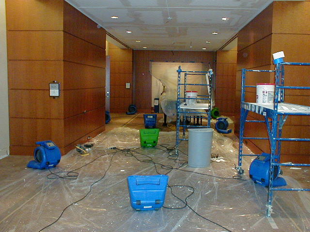 Image for Phase 2 Lombard Carpet Cleaning Services with ID of: 1211107