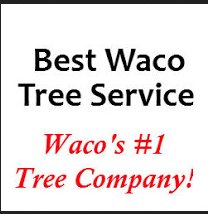 Image for Best Waco Tree Service with ID of: 1212258