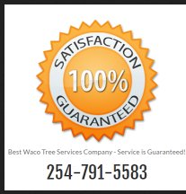 Image for Best Waco Tree Service with ID of: 1212262