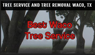 Image for Best Waco Tree Service with ID of: 1212265