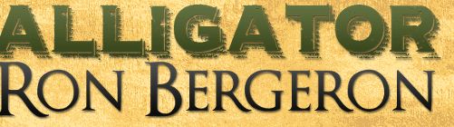 Image for Bergeron Land Development with ID of: 1212370