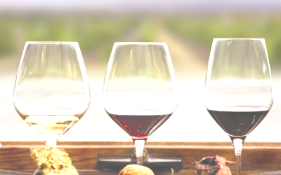 Image for Florida Taste Tour with ID of: 1214177