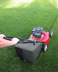 Image for Grass cutting companies with ID of: 1217150