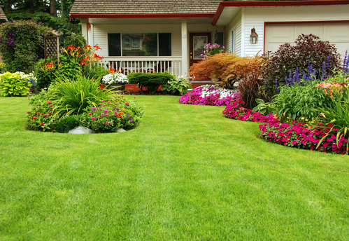 Image for Pocatello Lawn Care with ID of: 1217241