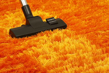Image for Best Carpet Cleaning Pompano Beach with ID of: 1218484