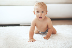Image for Best Carpet Cleaning Pompano Beach with ID of: 1218488
