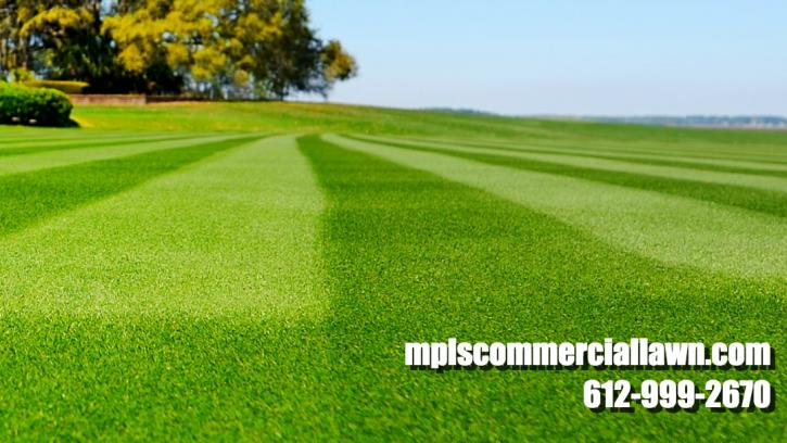 Image for AccuLawn Minneapolis with ID of: 1218600