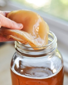 Image for Global Kombucha Market 2016 Industry Analysis, Segment & Forecast up to 2020 with ID of: 1219249