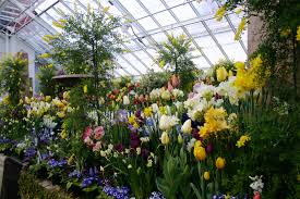 Image for Greenhouse designs with ID of: 1219774