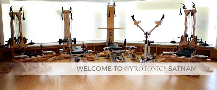 Image for GYROTONIC SATNAM with ID of: 1220019