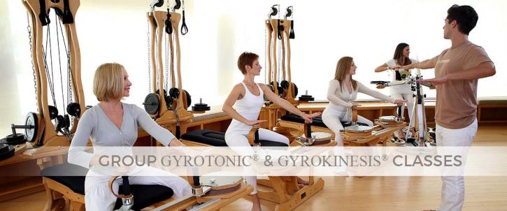 Image for GYROTONIC SATNAM with ID of: 1220020