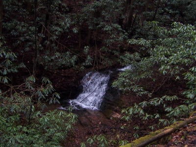 Image for Murphy, NC - 140.7 Acres Of Pristine Wilderness with ID of: 122068
