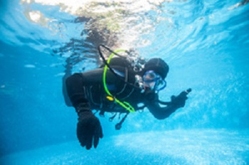 Image for Swim Time LLC with ID of: 1221932