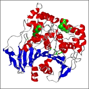 Image for Global Lipase Market 2016 Industry Analysis, Segment & Forecast up to 2020 with ID of: 1222417