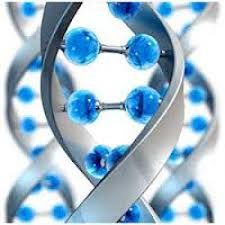 Image for Global White Biotechnology Market Makes Rapid Progress with Worldwide Thrust on Sustainability with ID of: 1222954