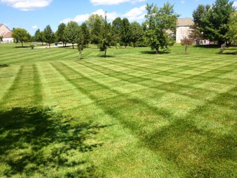 Image for LP Landscaping Services, LLC with ID of: 1223340