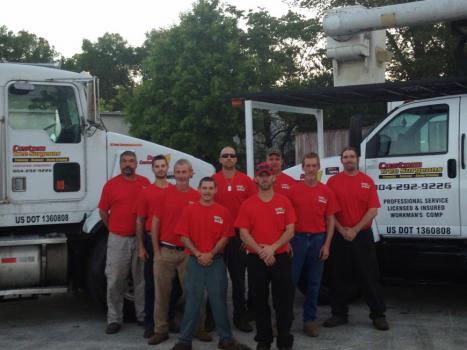 Image for Custom Tree Surgeons with ID of: 1223477