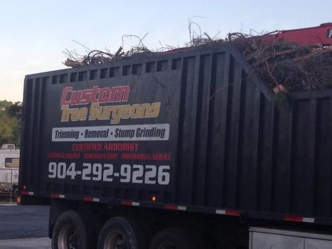 Image for Custom Tree Surgeons with ID of: 1223478