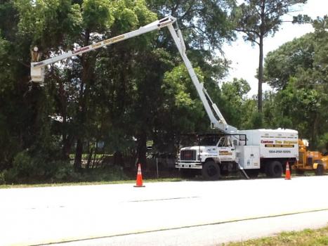 Image for Custom Tree Surgeons with ID of: 1223481