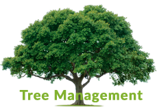 Image for Deerfield Beach Southern Services with ID of: 1224387
