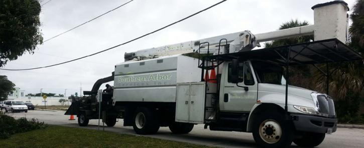 Image for Boca Raton Tree Service with ID of: 1224488